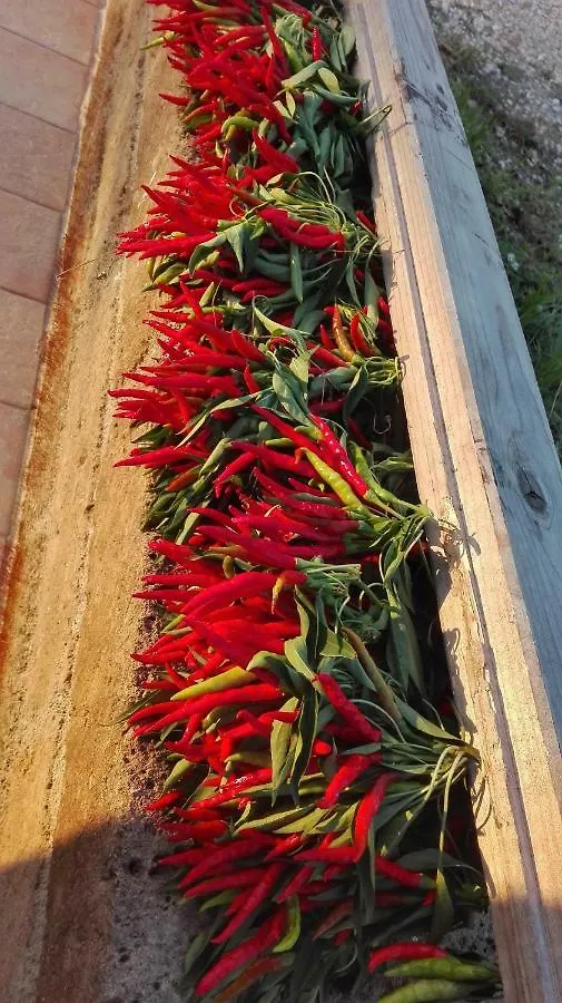 Вилла Sonnellino In Maremma Масса-Мариттима 0*,  Италия